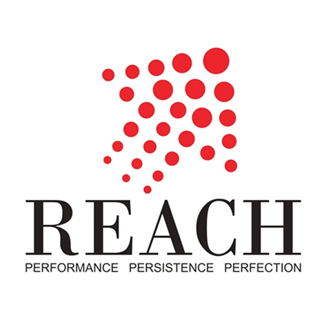 Reach-group-logo